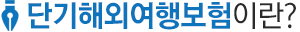 해외여행보험이란?