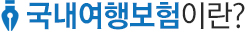국내여행보험이란?