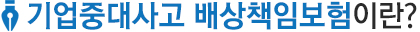 기업중대사고 배상책임보험이란?