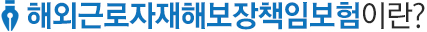 근로자재해보장책임보험(해외)이란?
